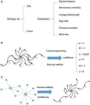 A Game-Theoretical Network Formation Model for C. elegans Neural Network